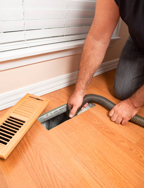 Best Air Duct Mold Removal  in USA